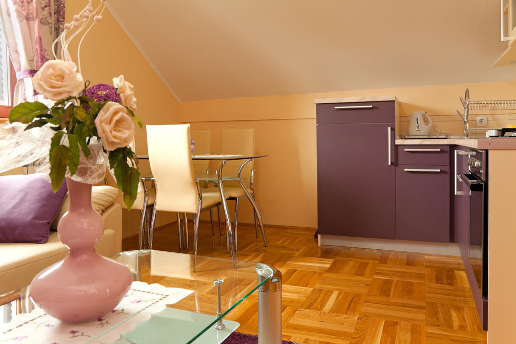 Apartments Tratincica セリステ・ドゥレズニツコ 部屋 写真