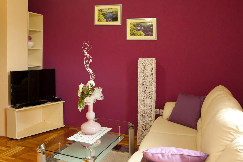 Apartments Tratincica セリステ・ドゥレズニツコ 部屋 写真