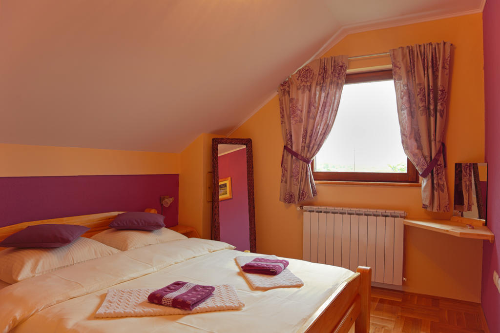 Apartments Tratincica セリステ・ドゥレズニツコ 部屋 写真